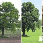 Think Your Business Is Clean? A Seasonal Deep Clean Might Say Otherwise.